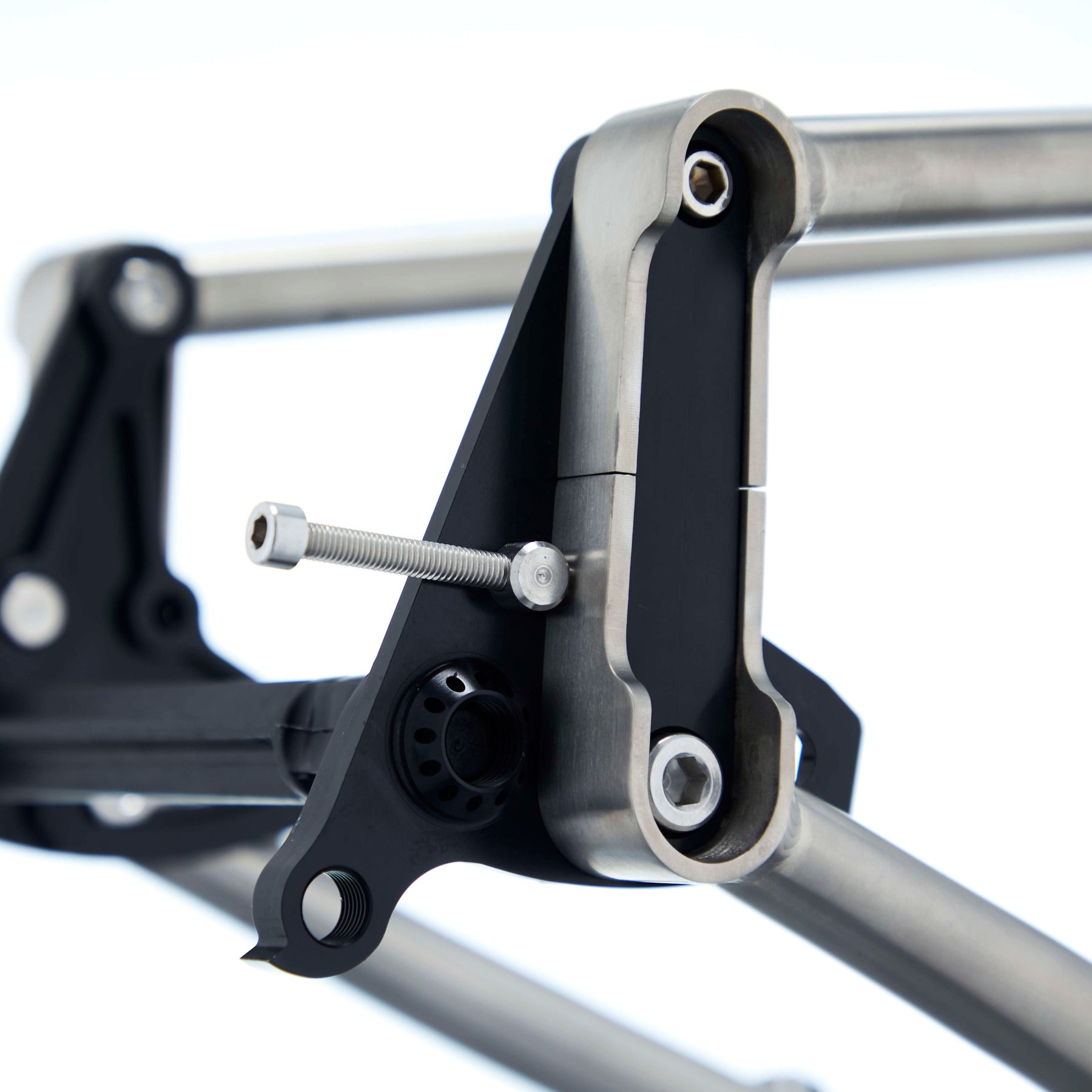 Lamb - Pinion Titanium Bike Builder