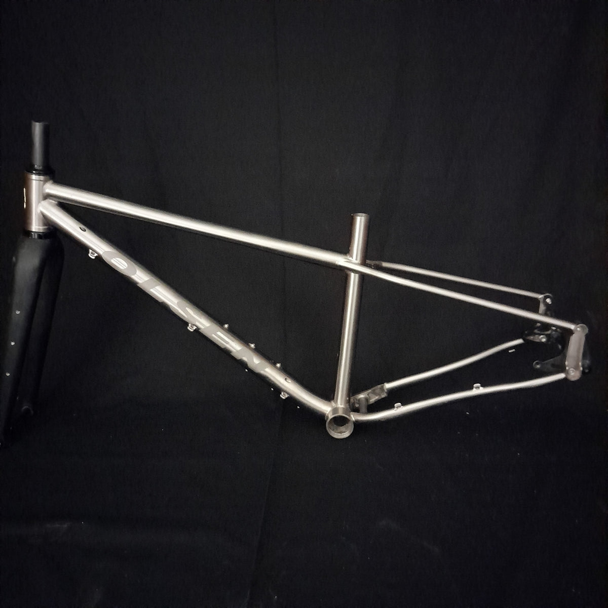 Swan Gen1 - Titanium Frame